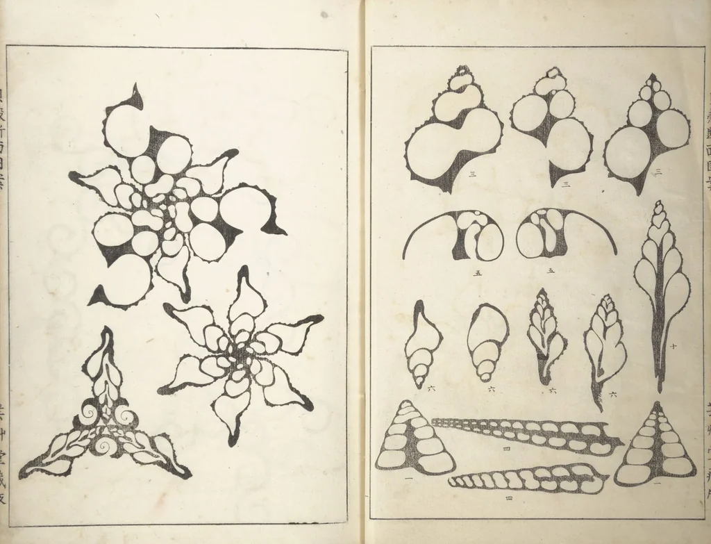 An illustration from Shell Motifs (Kaigara dammen zuan), 1913, leaf 6