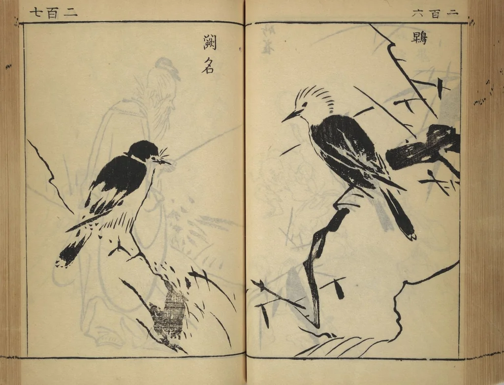 An illustration from Compendium on Osaka Publications (A Book of Reproductions of Osaka Prints and Text), leaf 107