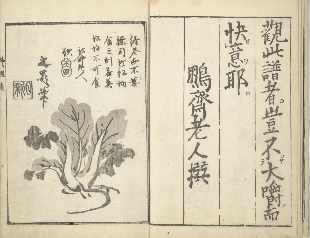 An illustration from Handbook of Fashionable Cuisine for the Epicures of Edo (Edo ryūkō ryōri tsū taizen), 1822, leaf 6