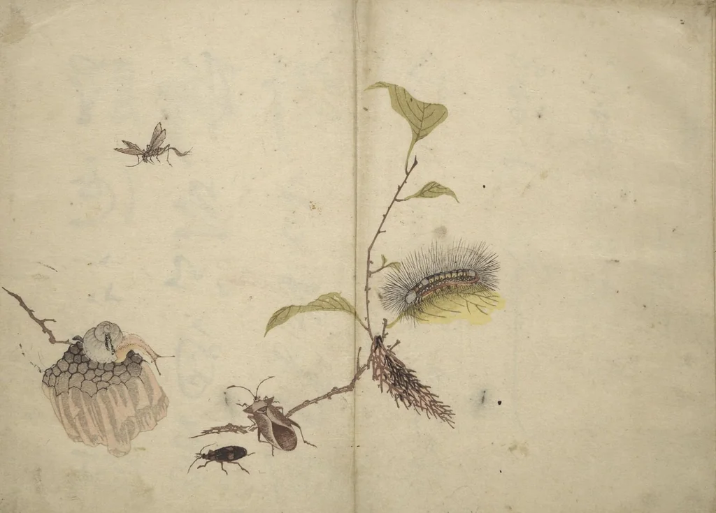 An illustration from Shunkei Picture Album (Shunkei gafu), 1820, leaf 10