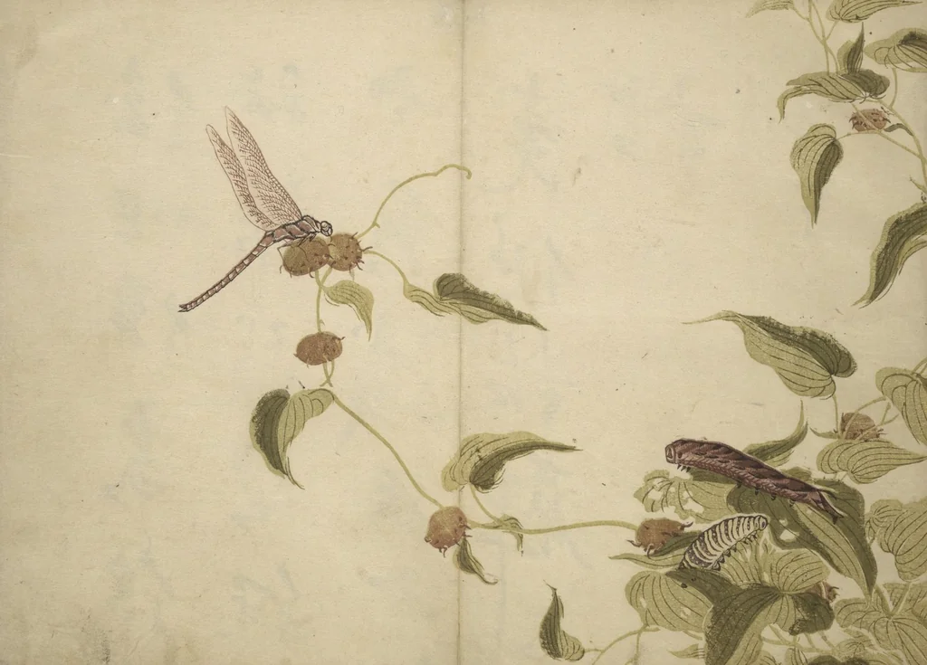 An illustration from Shunkei Picture Album (Shunkei gafu), 1820, leaf 12
