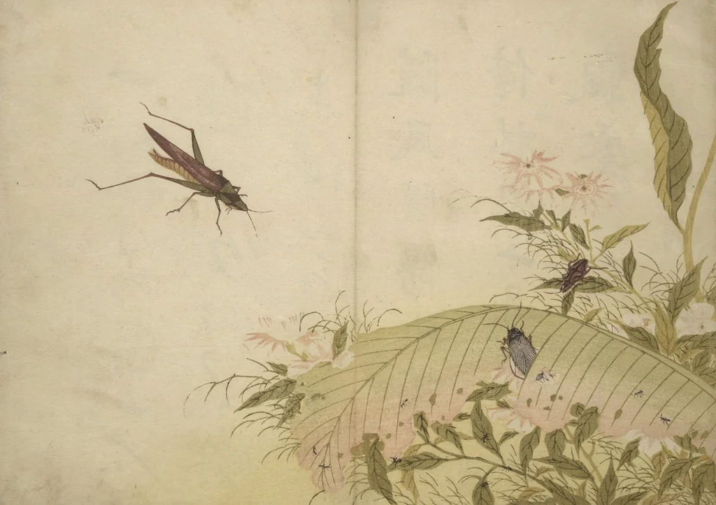 An illustration from Shunkei Picture Album (Shunkei gafu), 1820, leaf 16