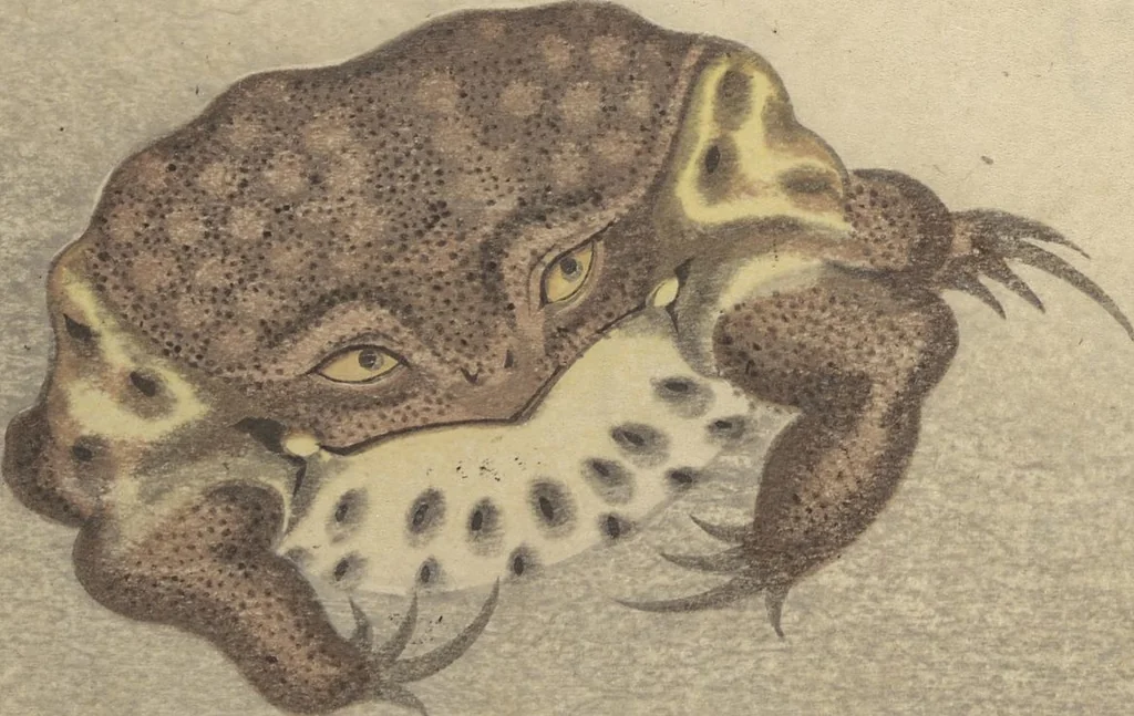 An illustration from Shunkei Picture Album (Shunkei gafu), 1820, leaf 22