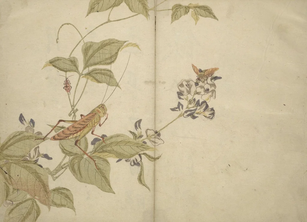 An illustration from Shunkei Picture Album (Shunkei gafu), 1820, leaf 24