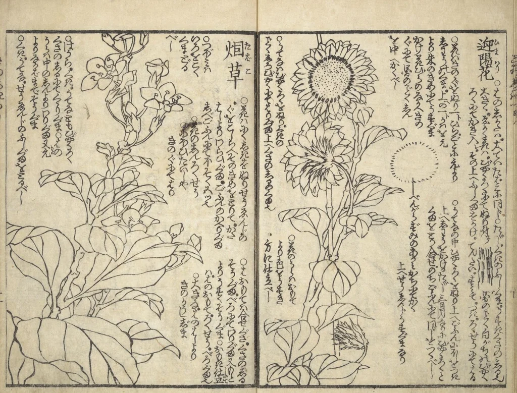 An illustration from Picture Book on the Use of Coloring, first volume (Ehon saishikitsū shohen), 1848, leaf 12