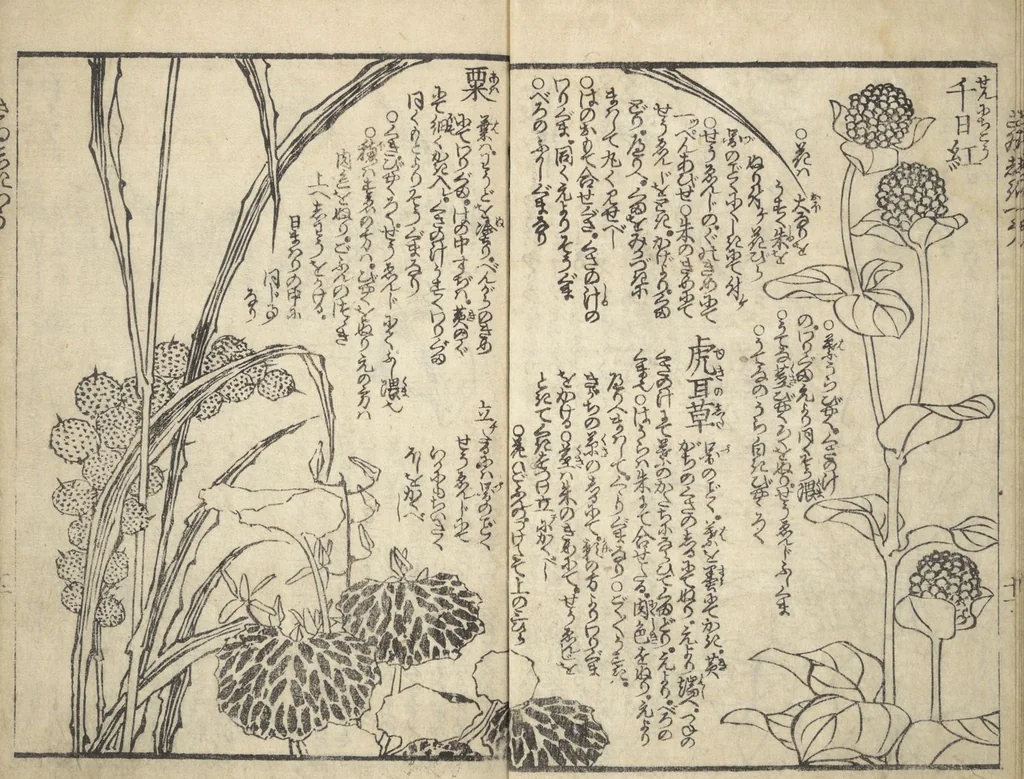 An illustration from Picture Book on the Use of Coloring, first volume (Ehon saishikitsū shohen), 1848, leaf 13