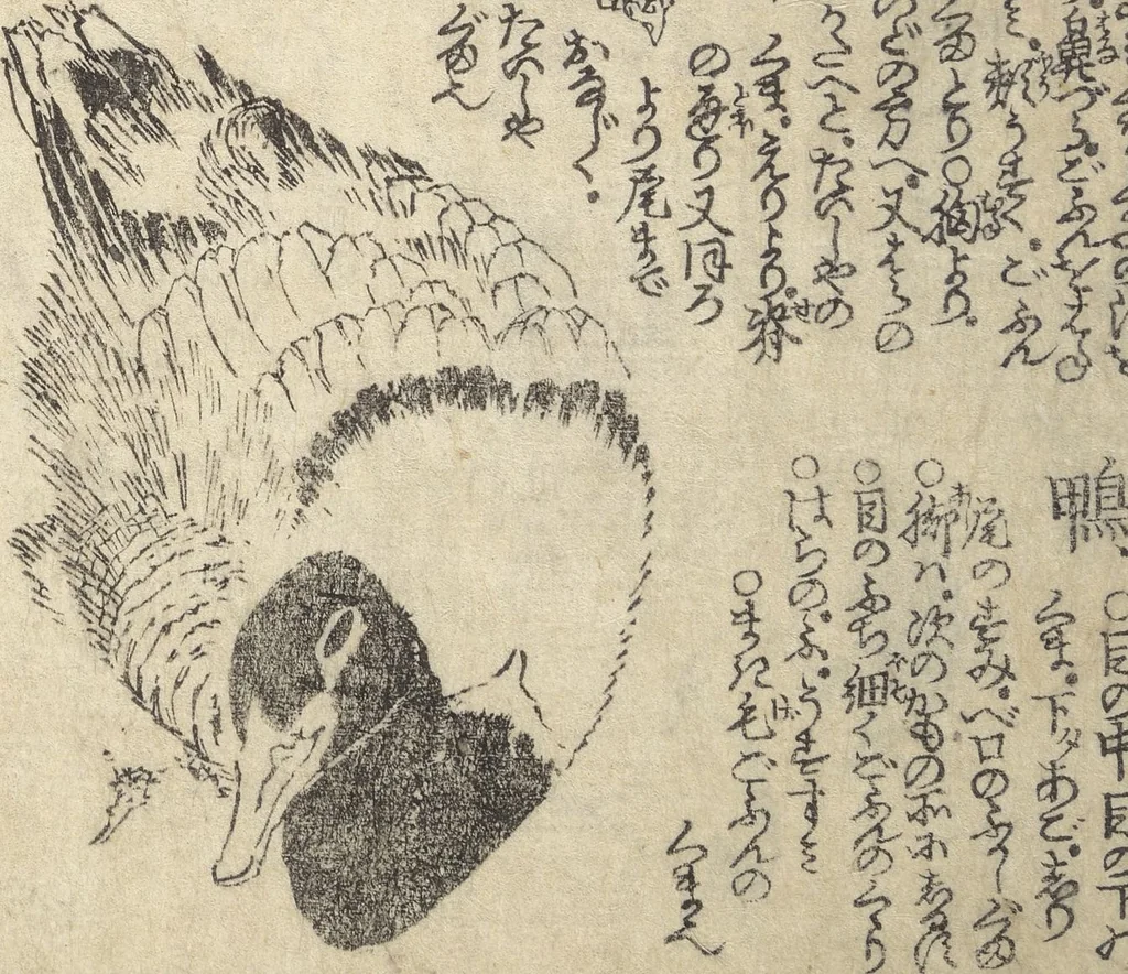 An illustration from Picture Book on the Use of Coloring, first volume (Ehon saishikitsū shohen), 1848, leaf 15