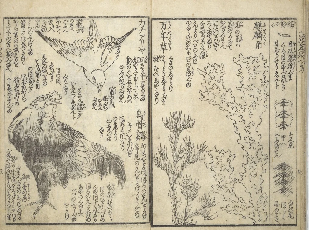 An illustration from Picture Book on the Use of Coloring, first volume (Ehon saishikitsū shohen), 1848, leaf 6