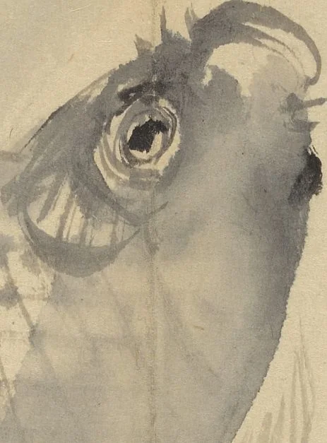 An illustration from Album [of works] by the master Koiso Zensetsusō (complete) (Koiso Zensentsusō sensei gajō-kan), leaf 11