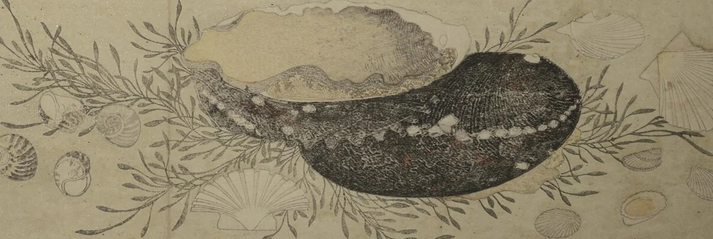 An illustration from Gifts of the Ebb Tide (The Shell Book) (Shiohi no tsuto), 1789, leaf 11