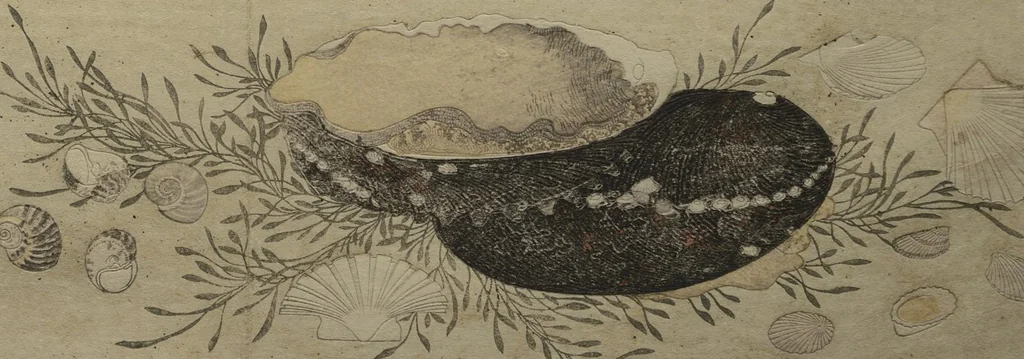 An illustration from Gifts of the Ebb Tide (The Shell Book) (Shiohi no tsuto), 1789, leaf 12