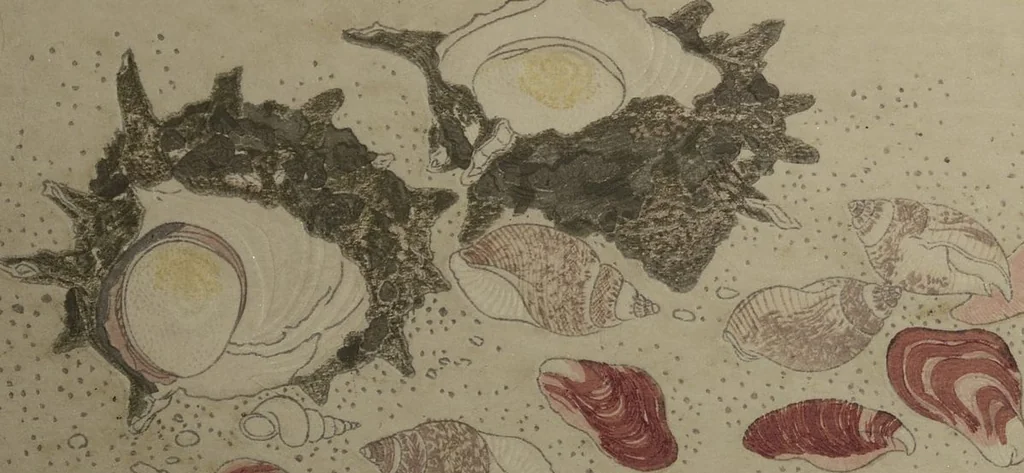 An illustration from Gifts of the Ebb Tide (The Shell Book) (Shiohi no tsuto), 1789, leaf 14