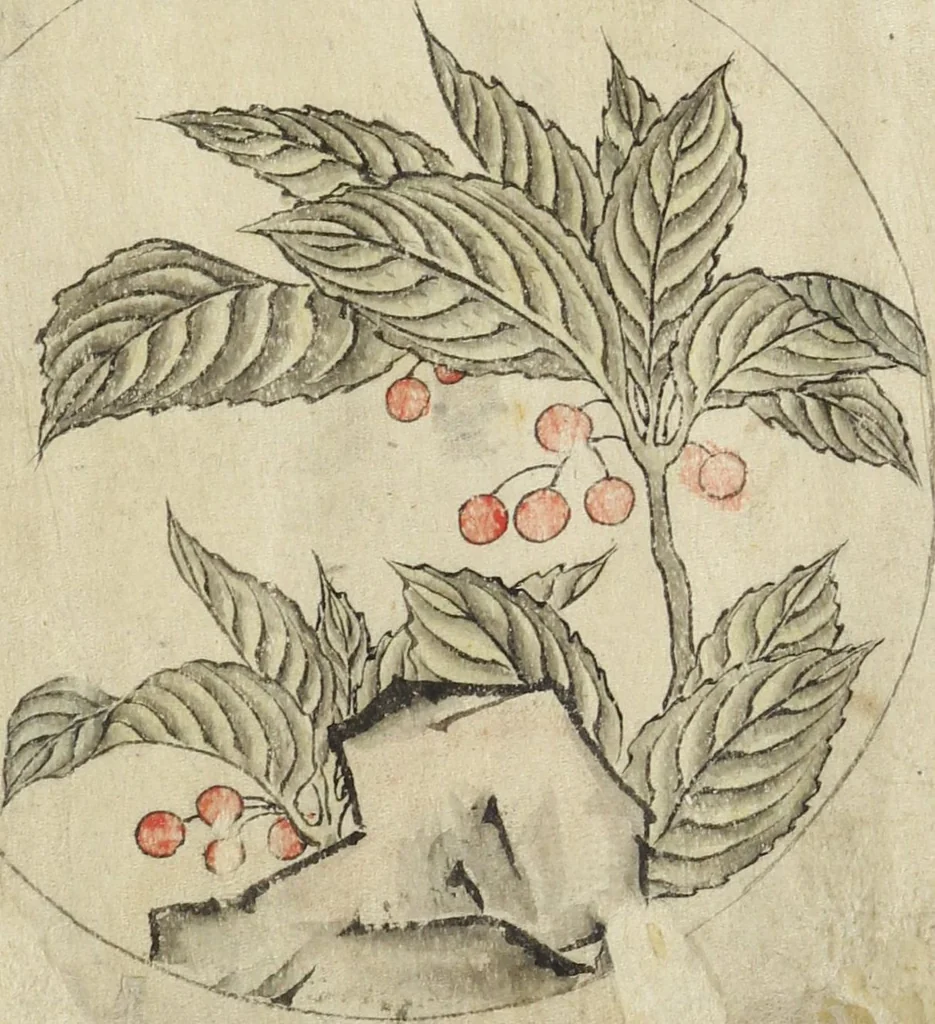 An illustration from Album of Sketches for Lacquer Decoration (Makie 蒔絵), 1850, leaf 8