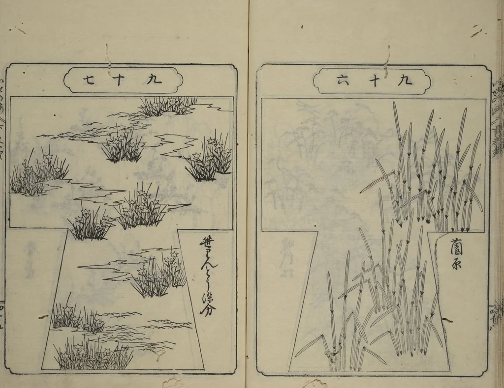 An illustration from Book of Kosode Patterns (Hiinagata Ise no umi), 1751, leaf 51