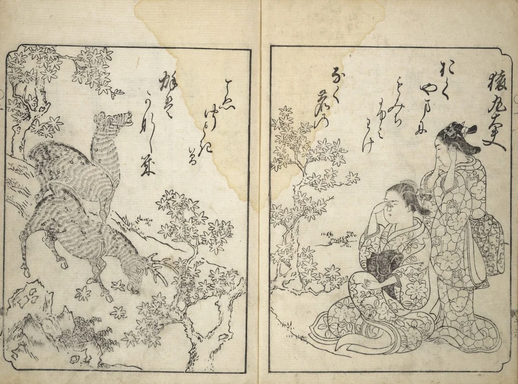An illustration from A Fashionable Representation of the Immortals of Poetry: Picture Book of Waka-no-ura (Fūryū kasen ehon waka no ura) : [volume 1], 1734, leaf 14