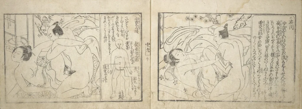 An illustration from Love Poses in the Narabi Hills (Nure sugata narabi no oka) : [volume 2], leaf 12
