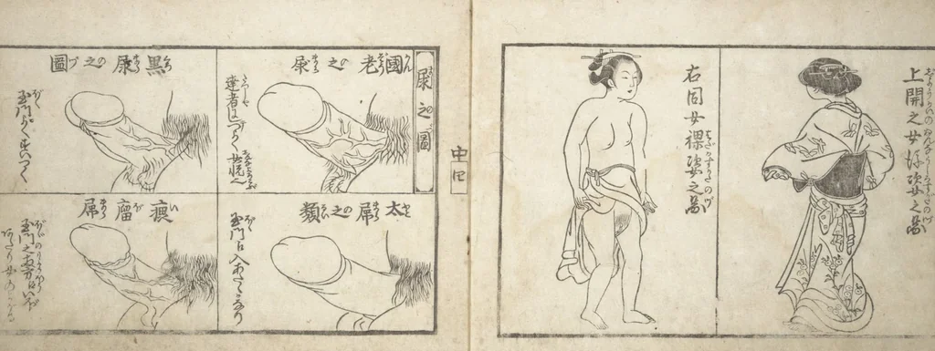 An illustration from Love Poses in the Narabi Hills (Nure sugata narabi no oka) : [volume 2], leaf 6