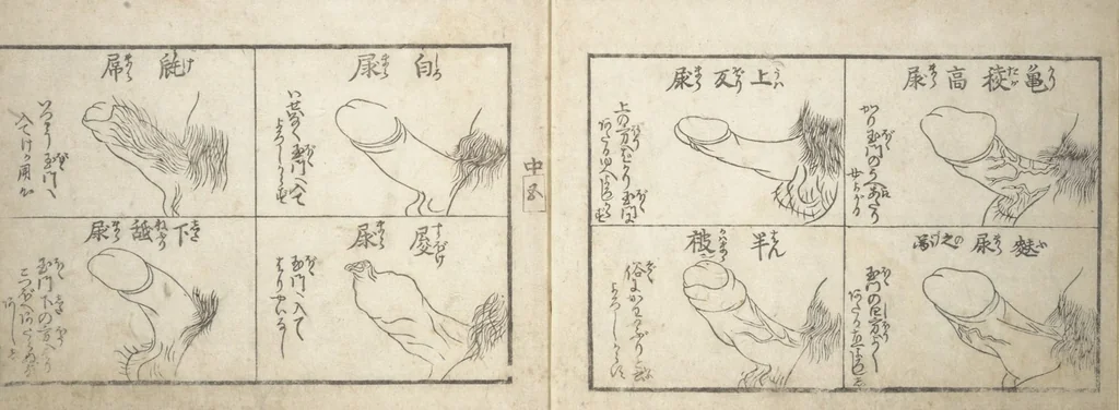 An illustration from Love Poses in the Narabi Hills (Nure sugata narabi no oka) : [volume 2], leaf 7