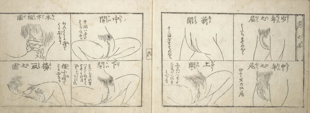 An illustration from Love Poses in the Narabi Hills (Nure sugata narabi no oka) : [volume 2], leaf 8
