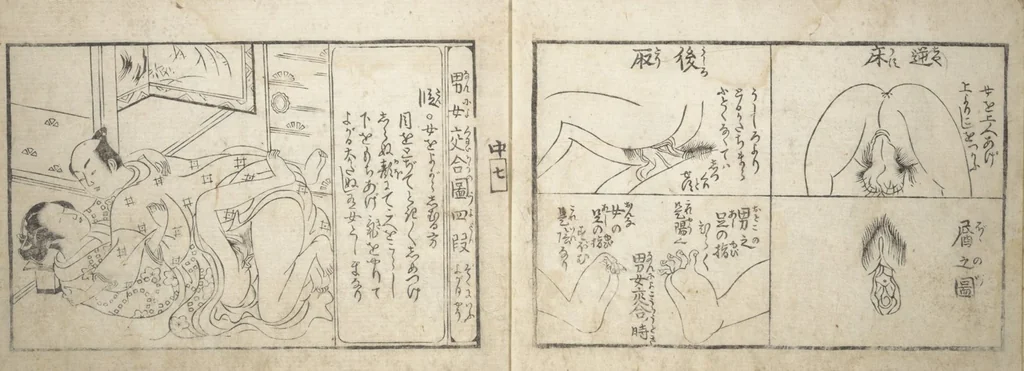 An illustration from Love Poses in the Narabi Hills (Nure sugata narabi no oka) : [volume 2], leaf 9