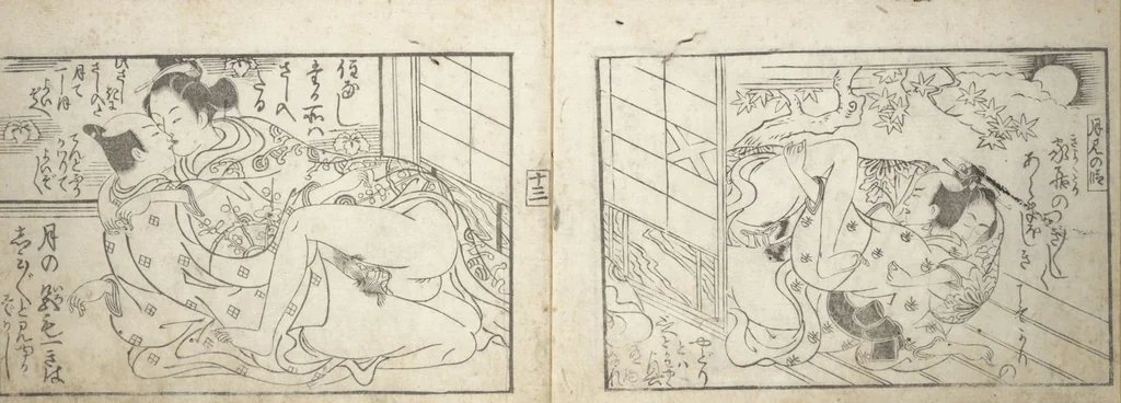 An illustration from Love Poses in the Narabi Hills (Nure sugata narabi no oka) : [volume 3], leaf 6