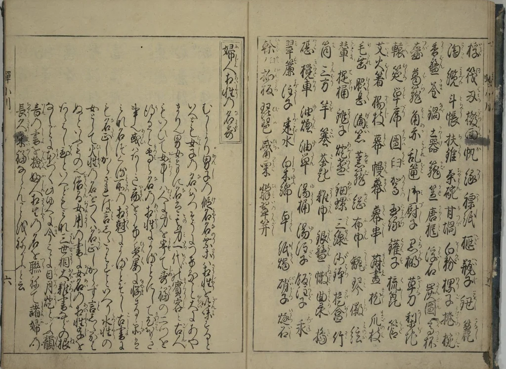 An illustration from The Cicada Stream (Semi no Ogawa) : [volume 1], 1733, leaf 8