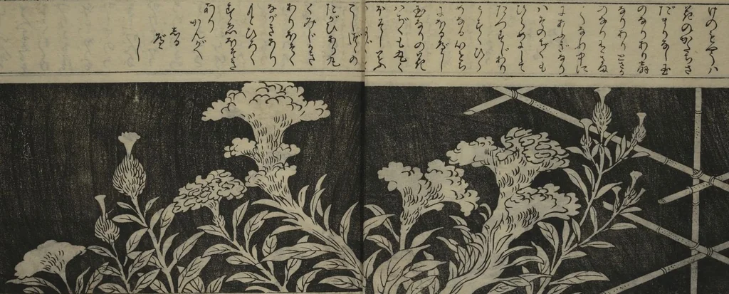 An illustration from Designs for Ranma (Door Transoms) (Ranma zushiki) : [volume 2], 1734, leaf 5