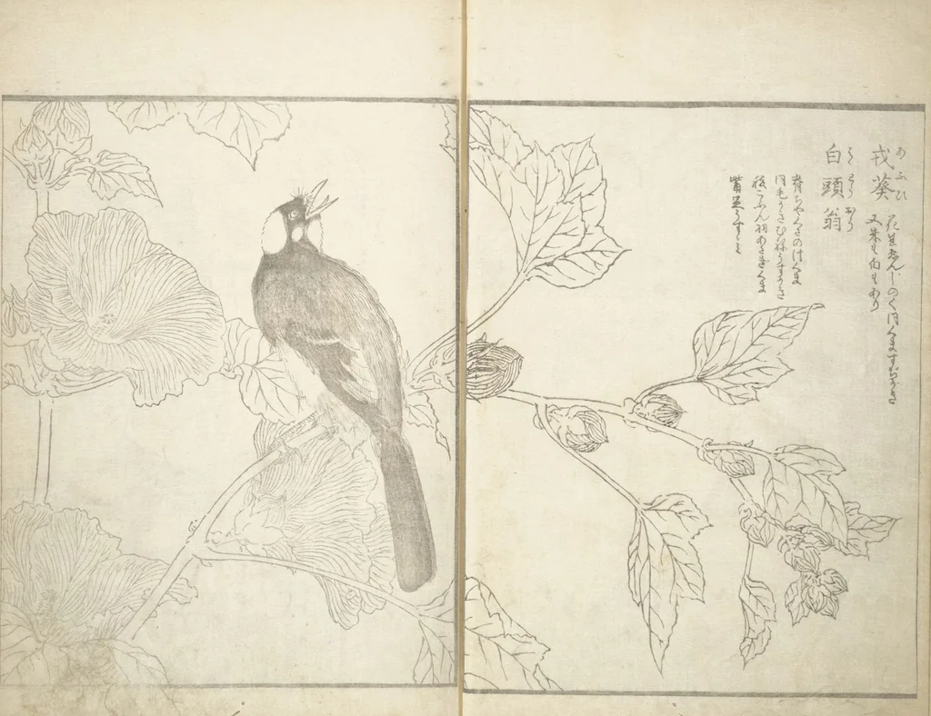 An illustration from True Depictions of Bird and Flower Pictures (Kachōe shashin zui) : [volume 1], 1805, leaf 6