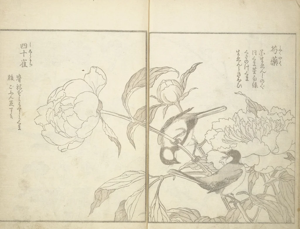An illustration from True Depictions of Bird and Flower Pictures (Kachōe shashin zui) : [volume 3], 1805, leaf 5