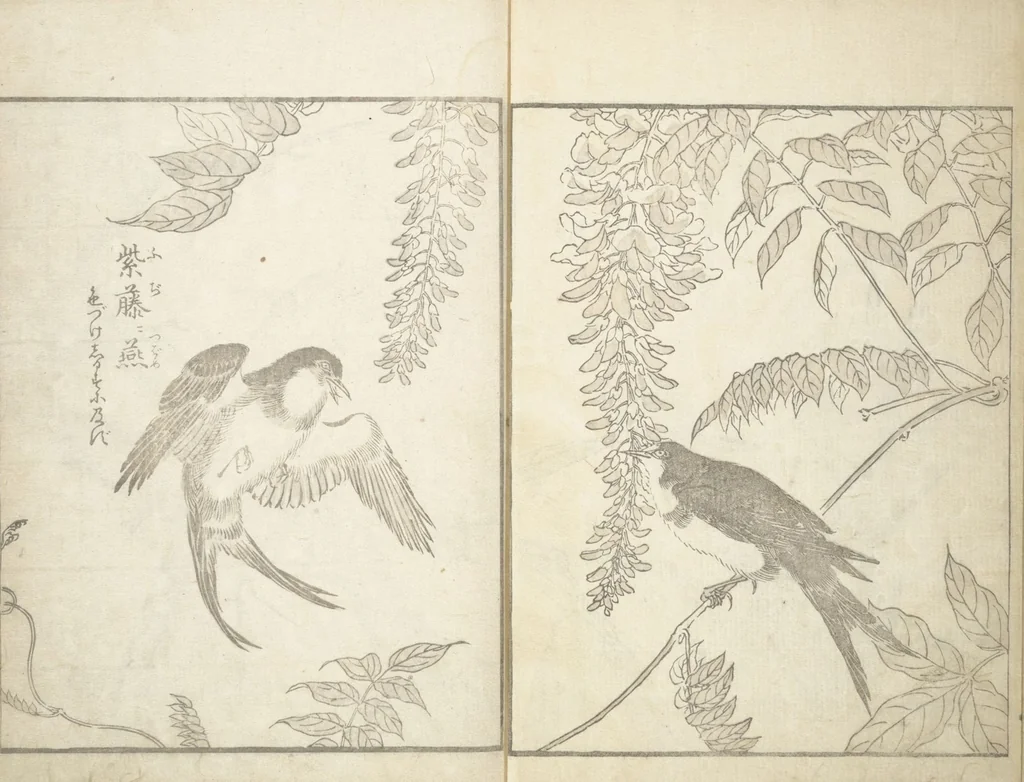 An illustration from True Depictions of Bird and Flower Pictures (Kachōe shashin zui) : [volume 3], 1805, leaf 8