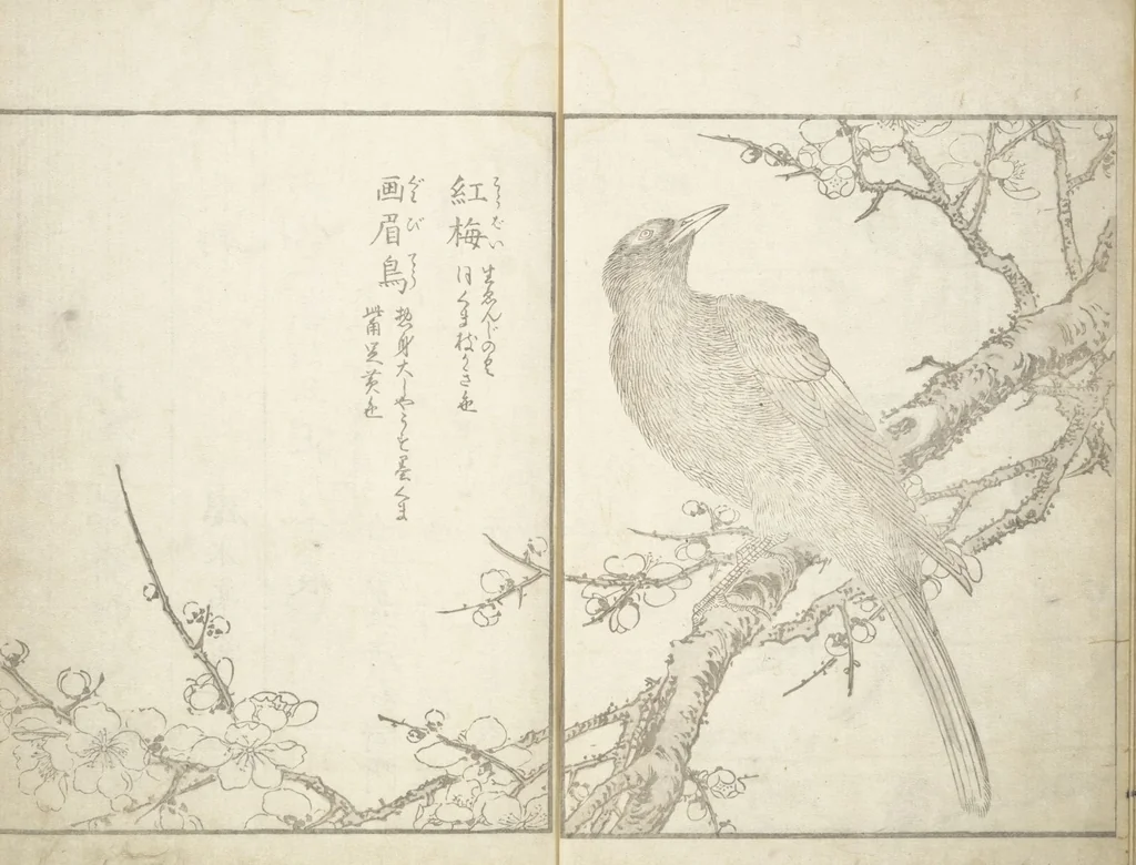 An illustration from True Depictions of Bird and Flower Pictures (Kachōe shashin zui) : [volume 3], 1805, leaf 9