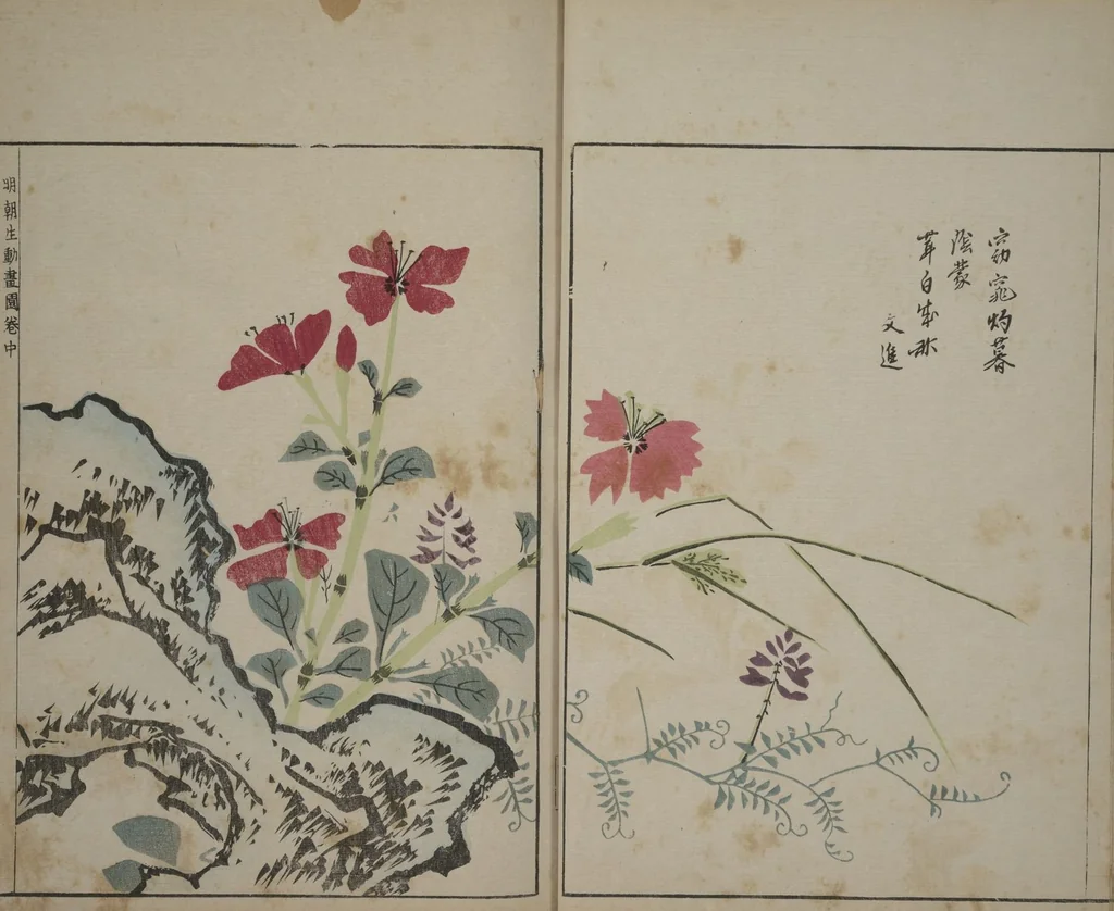 An illustration from A Collection of Lively Sketches [Of Flowers and Insects] of the Ming Dynasty (Minchō shiken) : [volume 2], 1746, leaf 11