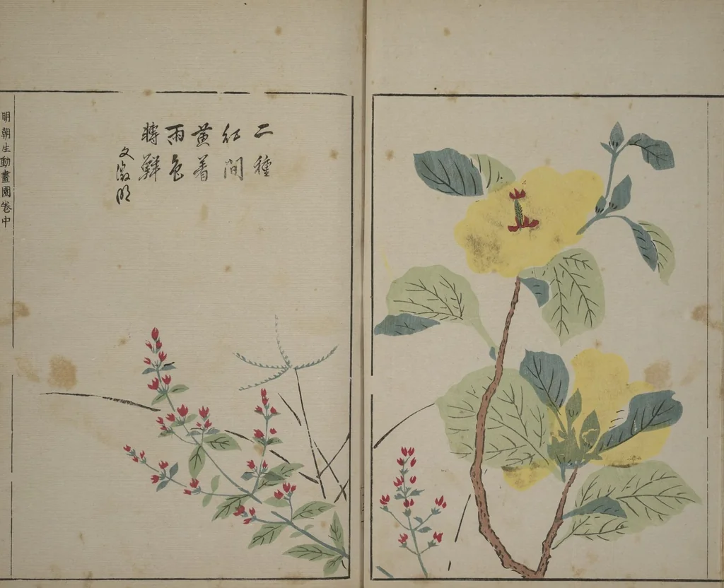 An illustration from A Collection of Lively Sketches [Of Flowers and Insects] of the Ming Dynasty (Minchō shiken) : [volume 2], 1746, leaf 14