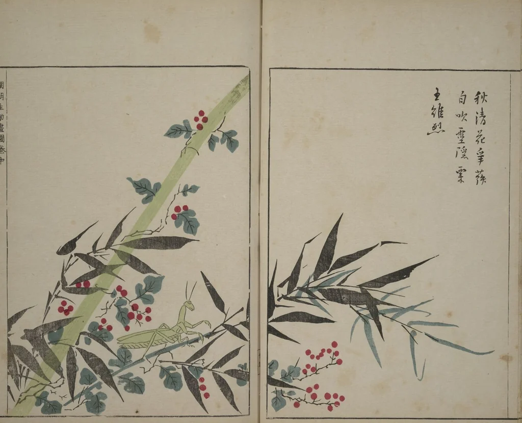 An illustration from A Collection of Lively Sketches [Of Flowers and Insects] of the Ming Dynasty (Minchō shiken) : [volume 2], 1746, leaf 16