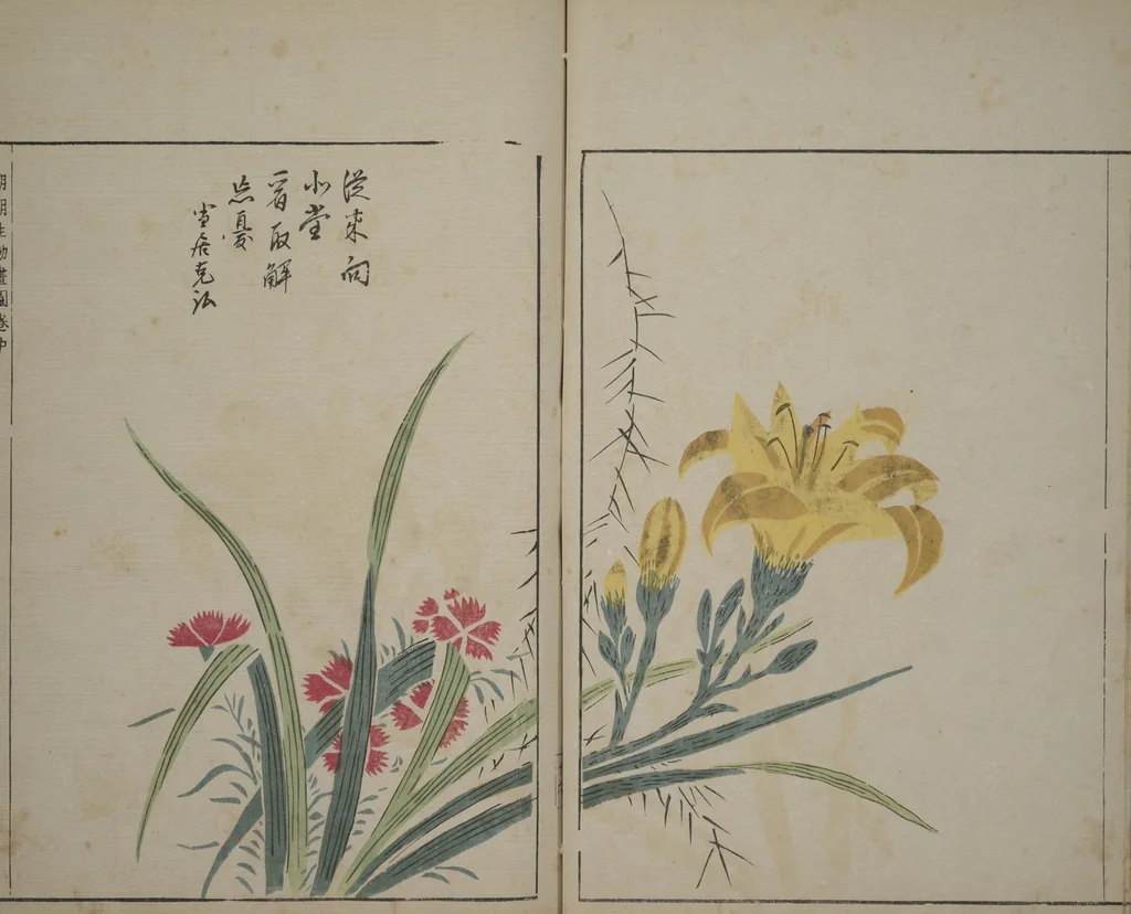 An illustration from A Collection of Lively Sketches [Of Flowers and Insects] of the Ming Dynasty (Minchō shiken) : [volume 2], 1746, leaf 17