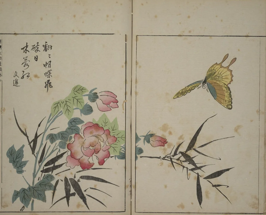 An illustration from A Collection of Lively Sketches [Of Flowers and Insects] of the Ming Dynasty (Minchō shiken) : [volume 2], 1746, leaf 18