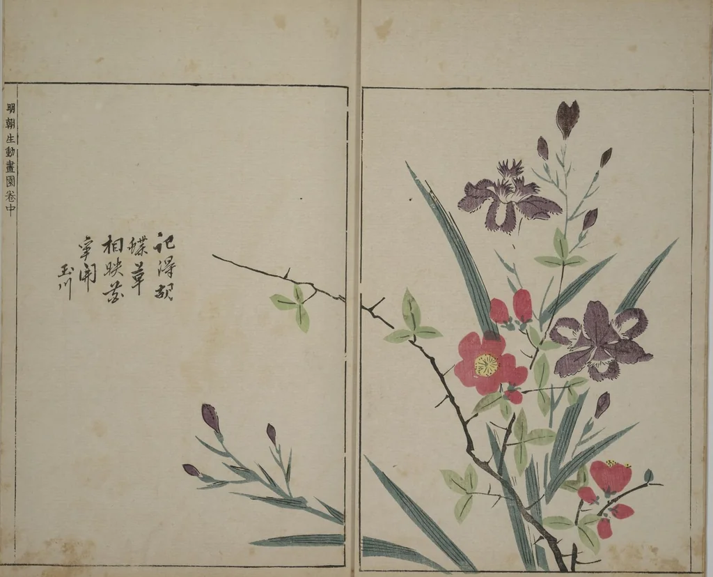 An illustration from A Collection of Lively Sketches [Of Flowers and Insects] of the Ming Dynasty (Minchō shiken) : [volume 2], 1746, leaf 4