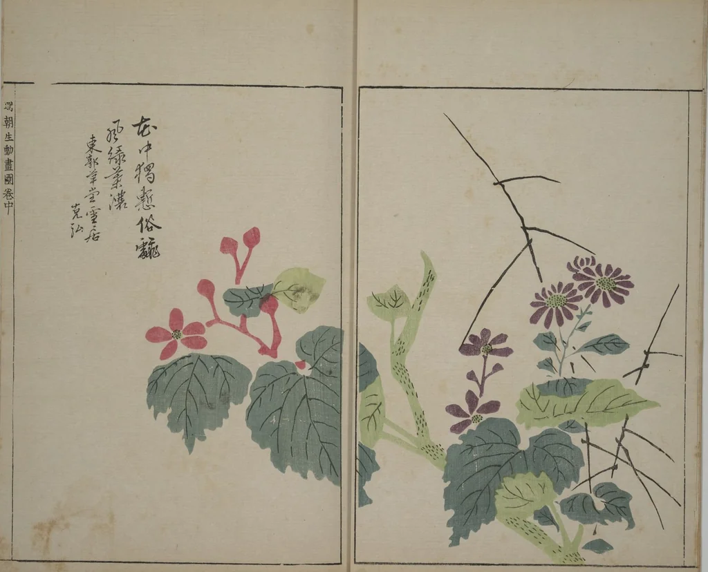 An illustration from A Collection of Lively Sketches [Of Flowers and Insects] of the Ming Dynasty (Minchō shiken) : [volume 2], 1746, leaf 5