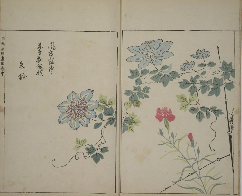 An illustration from A Collection of Lively Sketches [Of Flowers and Insects] of the Ming Dynasty (Minchō shiken) : [volume 2], 1746, leaf 6