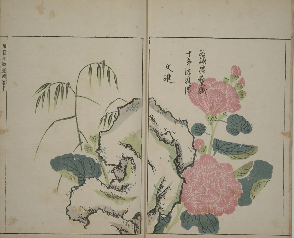 An illustration from A Collection of Lively Sketches [Of Flowers and Insects] of the Ming Dynasty (Minchō shiken) : [volume 2], 1746, leaf 7