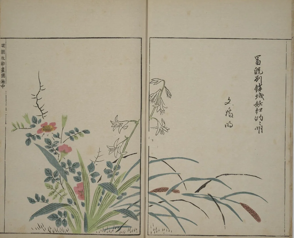 An illustration from A Collection of Lively Sketches [Of Flowers and Insects] of the Ming Dynasty (Minchō shiken) : [volume 2], 1746, leaf 8