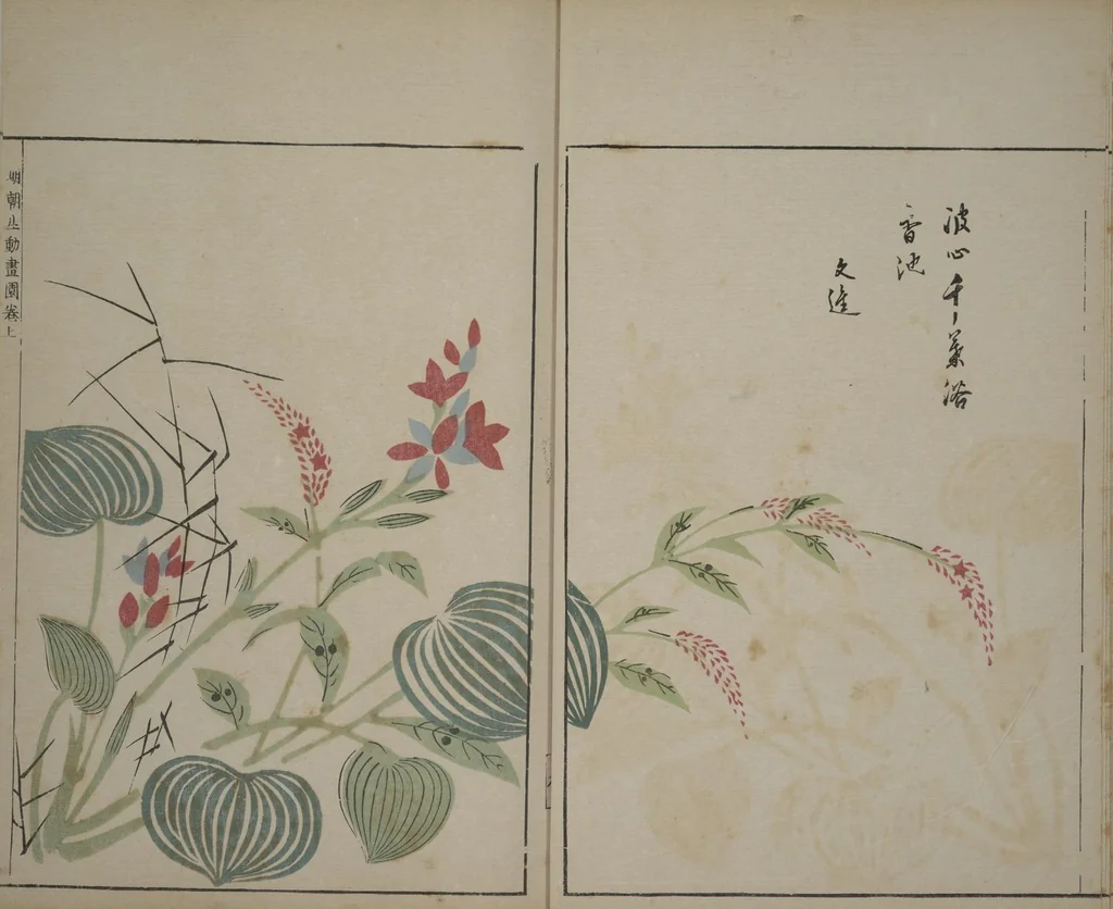 An illustration from A Collection of Lively Sketches [Of Flowers and Insects] of the Ming Dynasty (Minchō shiken) : [volume 1], 1746, leaf 10