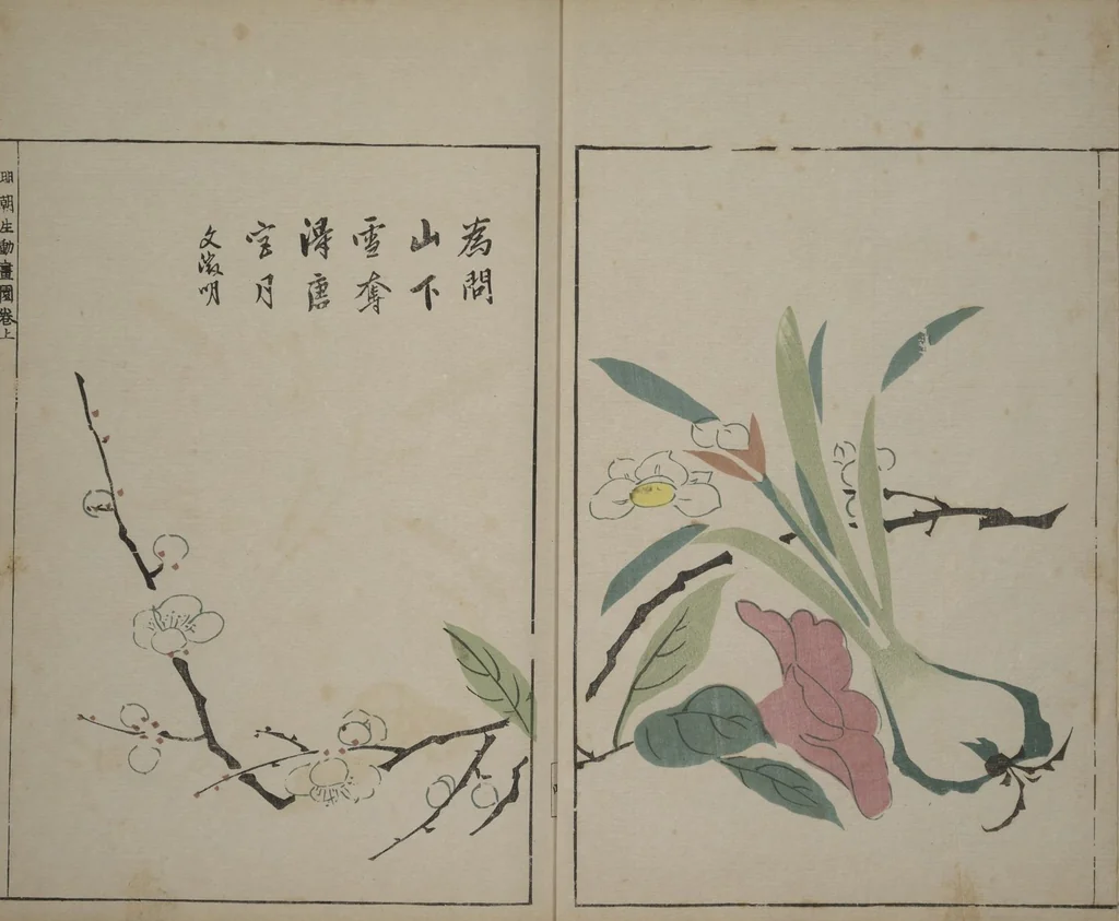 An illustration from A Collection of Lively Sketches [Of Flowers and Insects] of the Ming Dynasty (Minchō shiken) : [volume 1], 1746, leaf 5