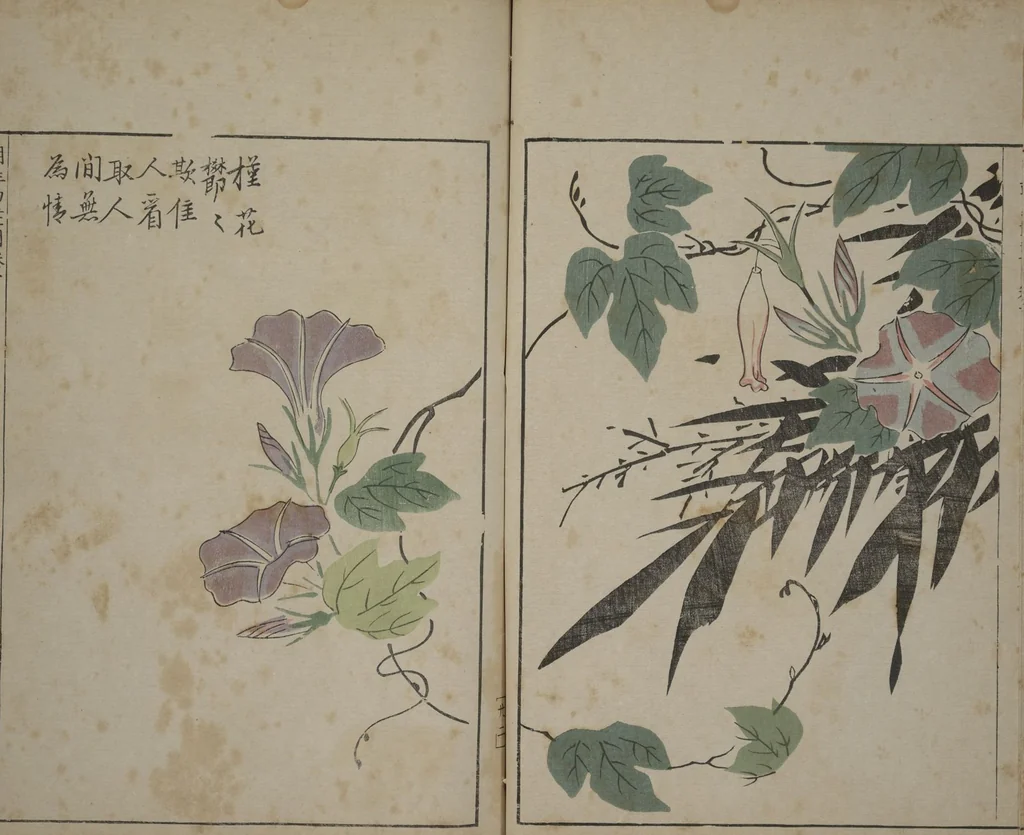 An illustration from A Collection of Lively Sketches [Of Flowers and Insects] of the Ming Dynasty (Minchō shiken) : [volume 3], 1746, leaf 22