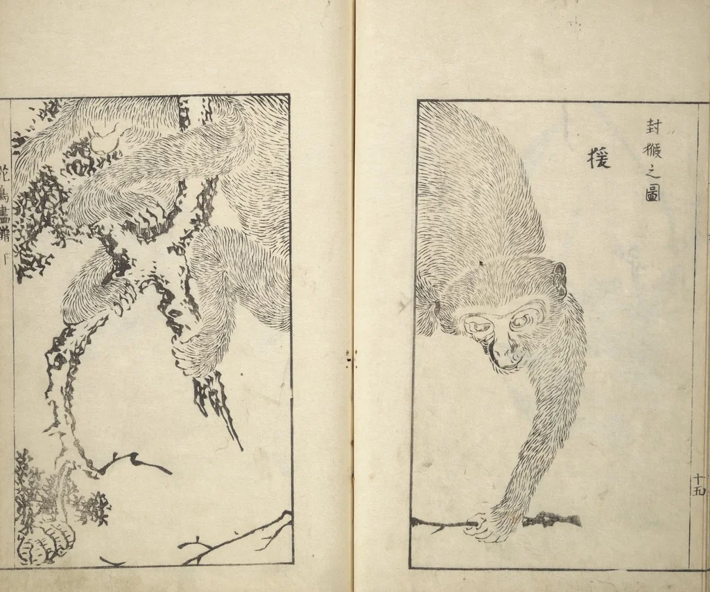 An illustration from Sō Shiseki Picture Album (Sō Shiseki gafu) : [volume 3], 1765, leaf 18