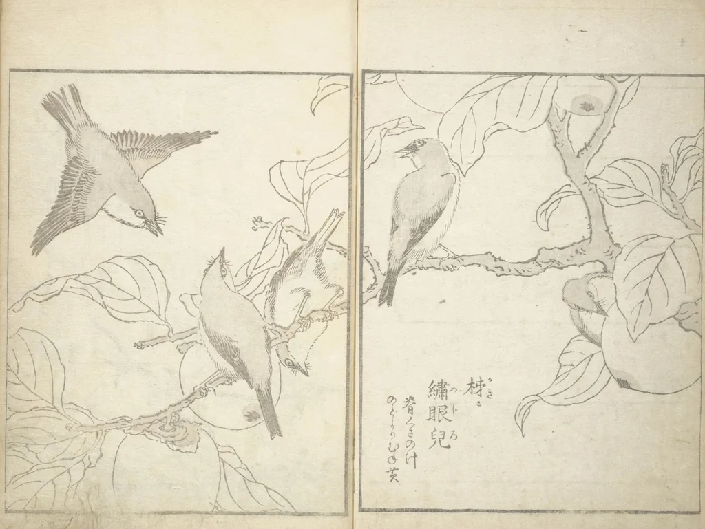 An illustration from True Depictions of Bird and Flower Pictures (Kachōe shashin zui) : [volume 2], 1805, leaf 3