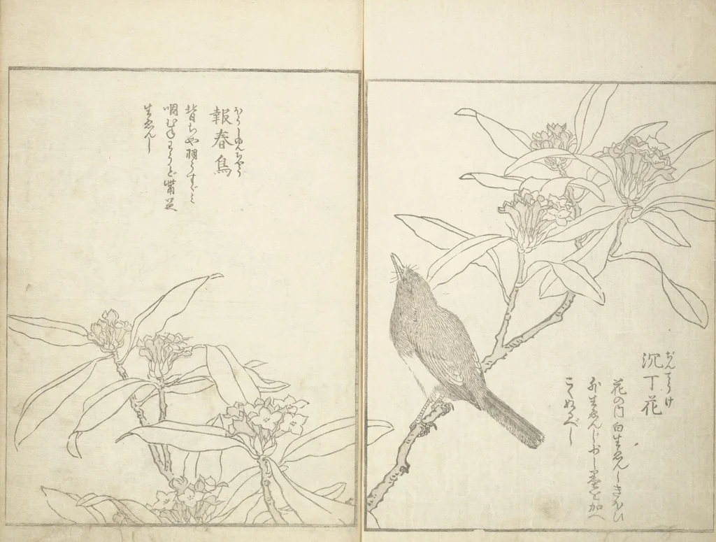 An illustration from True Depictions of Bird and Flower Pictures (Kachōe shashin zui) : [volume 2], 1805, leaf 5