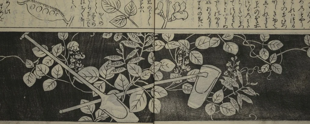 An illustration from Designs for Ranma (Door Transoms) (Ranma zushiki) : [volume 1], 1734, leaf 9