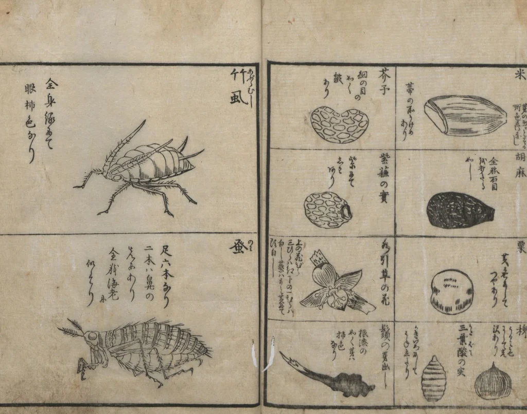 An illustration from Encyclopedia of Western Art (Kōmō zatsuwa 紅毛雑話) : [volume 3], 1787, leaf 19