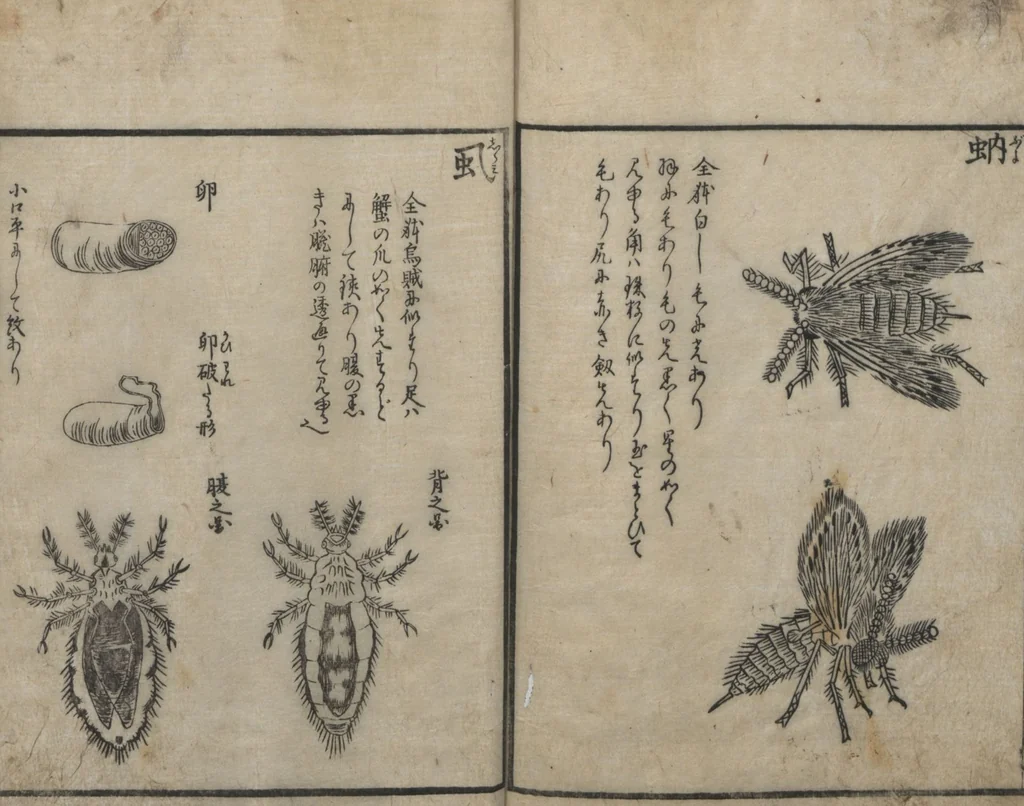 An illustration from Encyclopedia of Western Art (Kōmō zatsuwa 紅毛雑話) : [volume 3], 1787, leaf 20